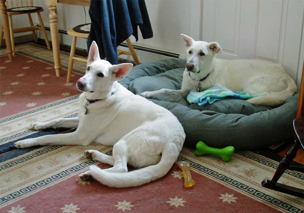 wayde and tess relaxing